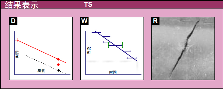 測試結果表示